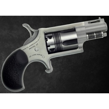 THE WASP 22LR REV 1-1/8 SS